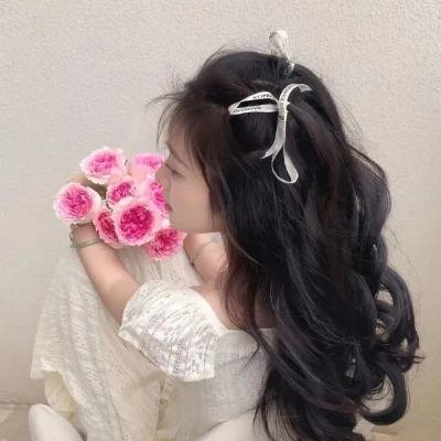 小松鼠大侦探